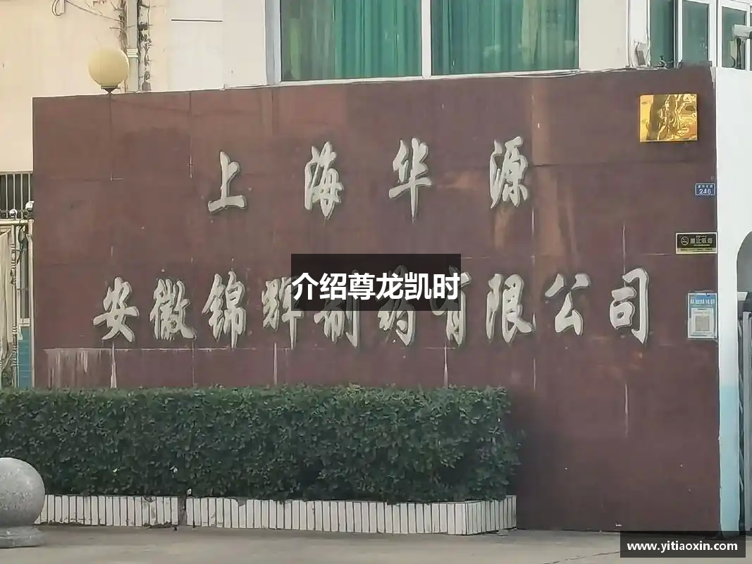 介绍尊龙凯时